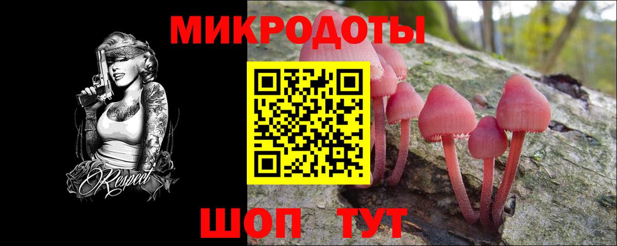 Галлюциногенные грибы Psilocybine cubensis  Вход с VPN  Новоалтайск  Галлюциногенные грибы мицелий 
