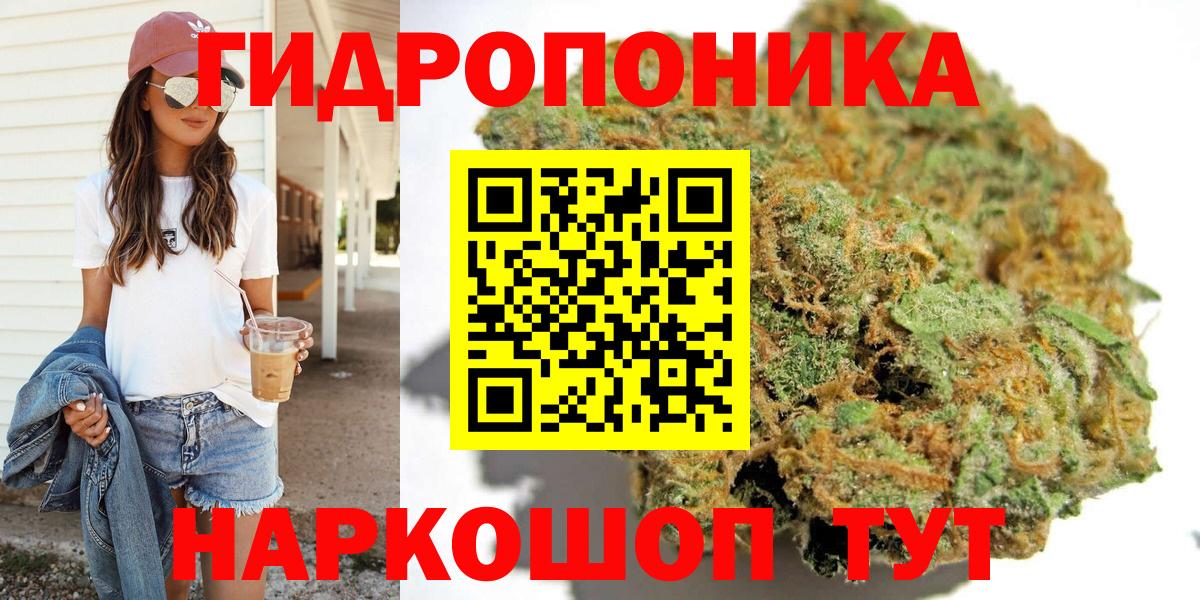 Конопля гибрид Новоалтайск